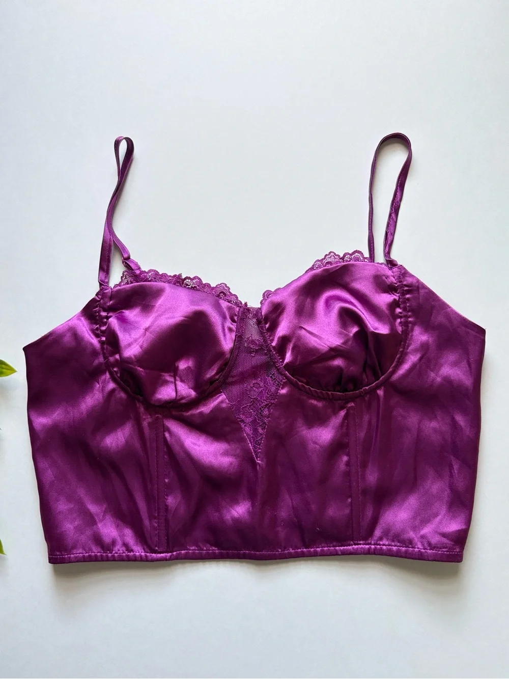 NWOT women’s self esteem purple corset